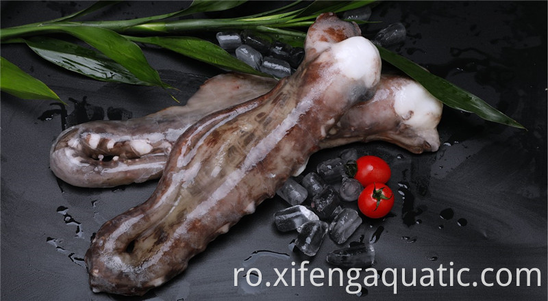 Tentacule de calmar Squid Tentacles